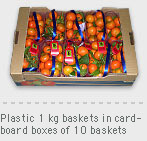 Cestas de plástico de 1 kg. en cajas de cartón de 10 cestas