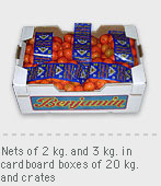 Malla Gir-sac 2 y 3 kg. en cajas de cartón e 20 kg. y en box