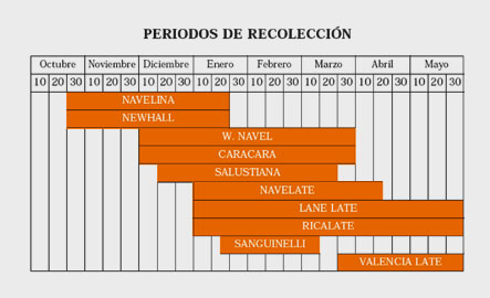 Grafico periodos de recoleccion de naranjas